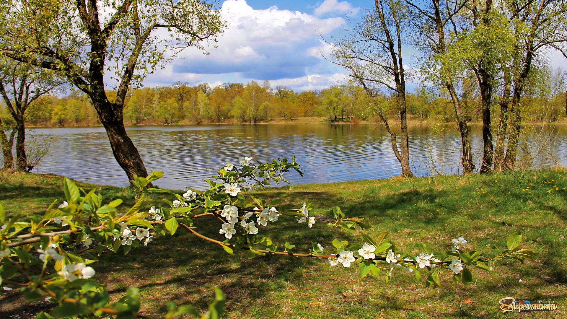 картинки природа россии весна