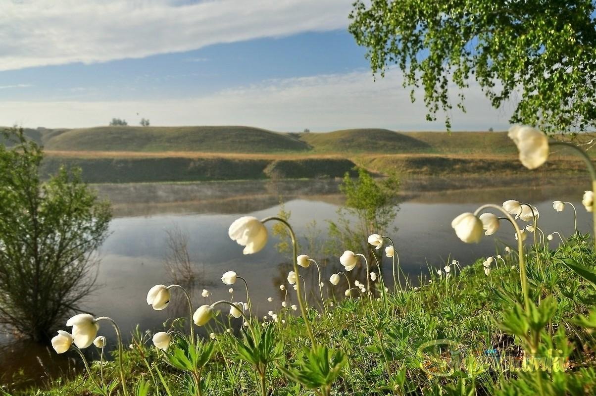 Красивые фото природы в мае