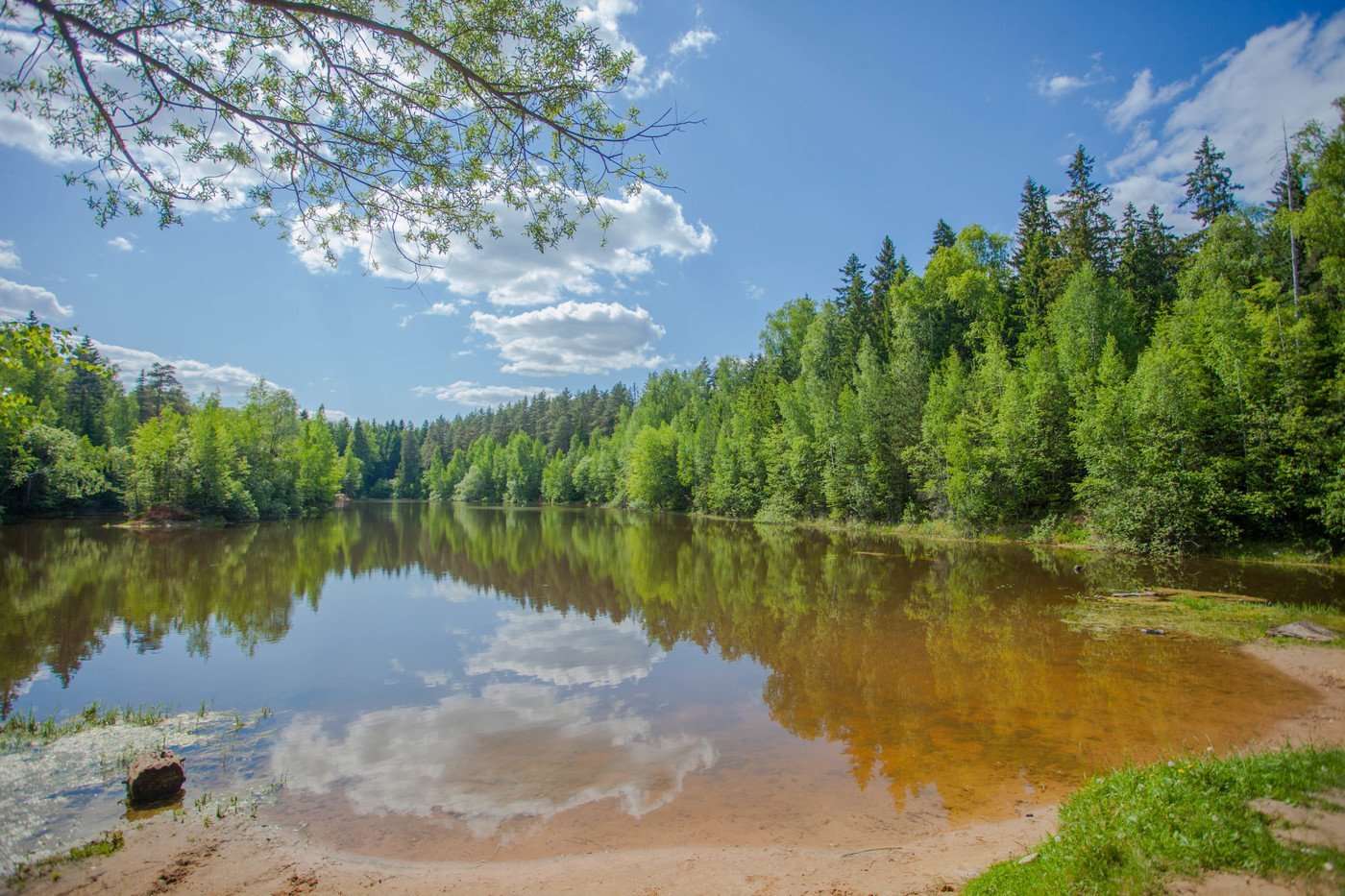 Озерцо река Белоруссия