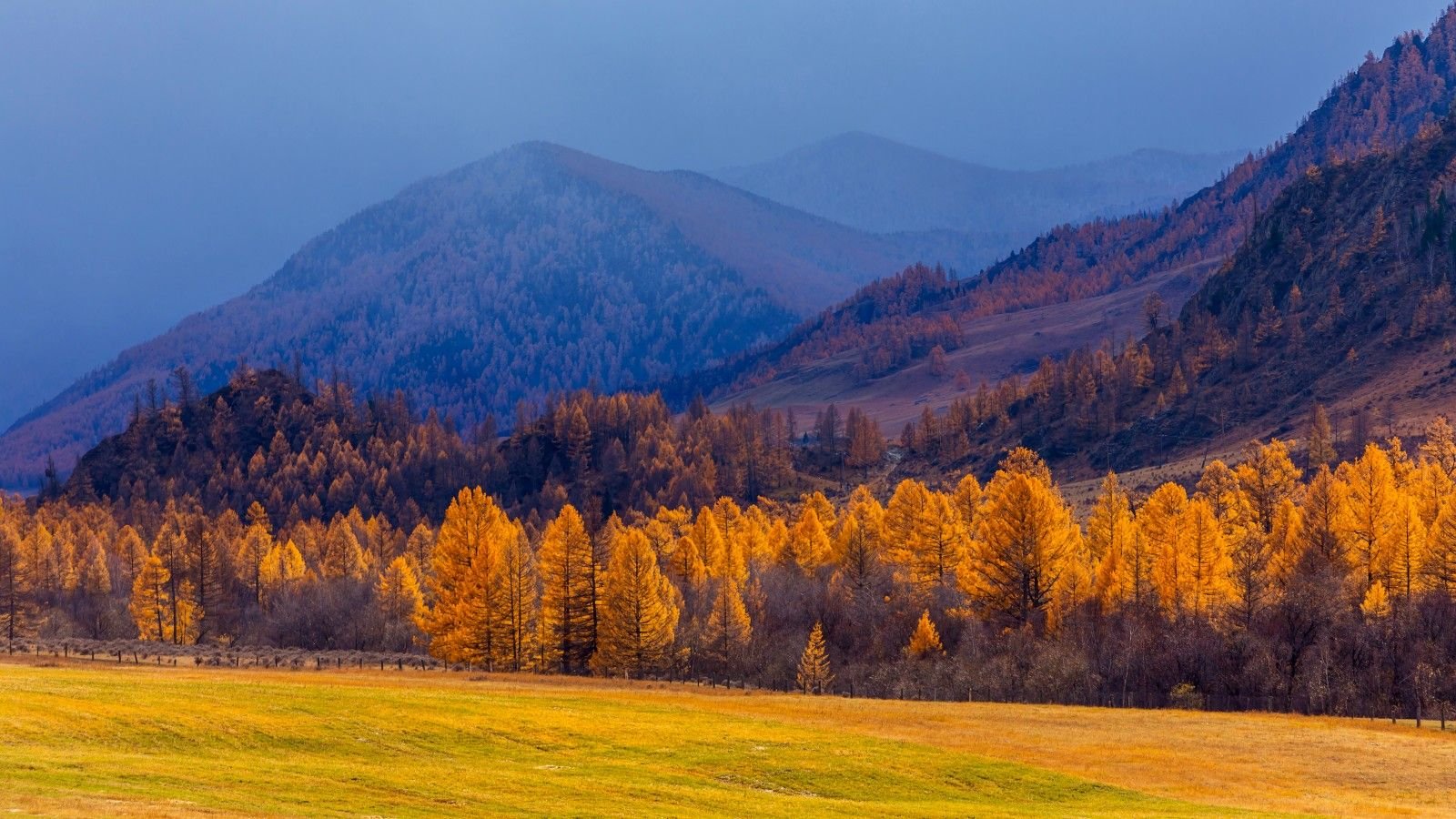 Горный Алтай осенью фотографии