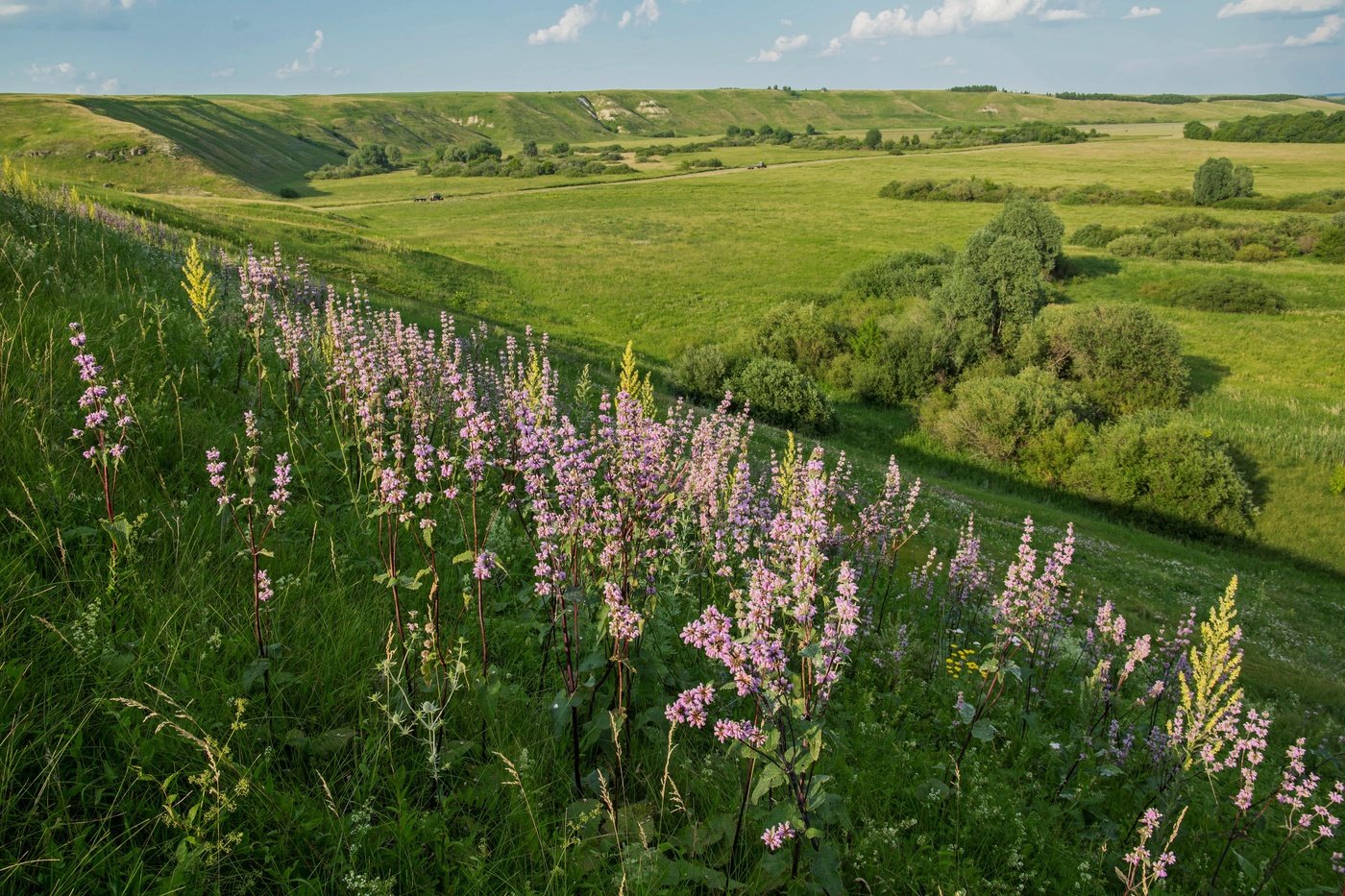 горы в татарстане