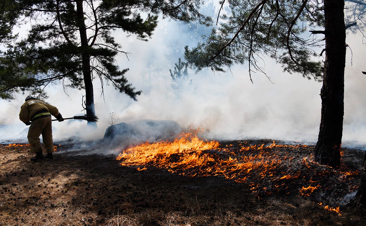 Лесные пожары в 2020 году в России