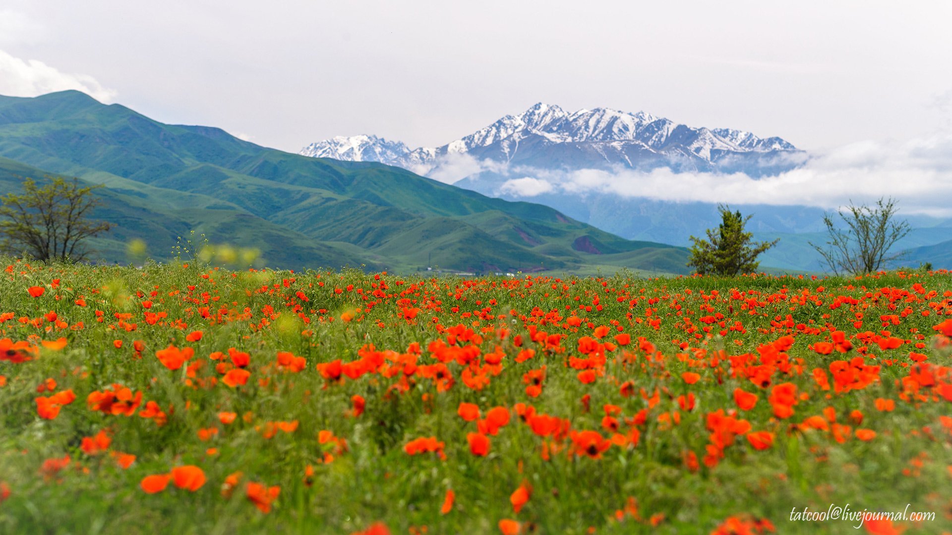 Красивый фото природы на а4 Кыргызстан