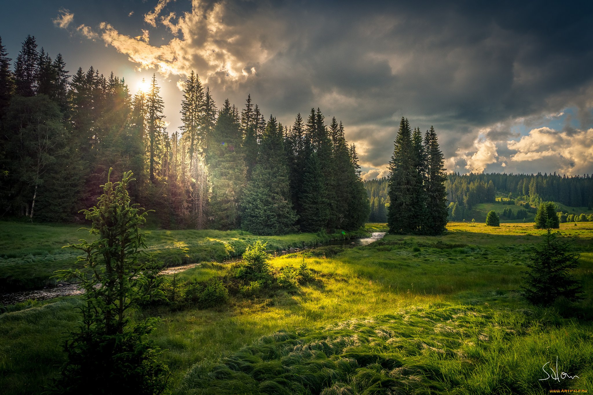 Лес очень красив. Природа лес. Пейзажи. Красивый Лесной пейзаж. Красивые пейзажи леса.