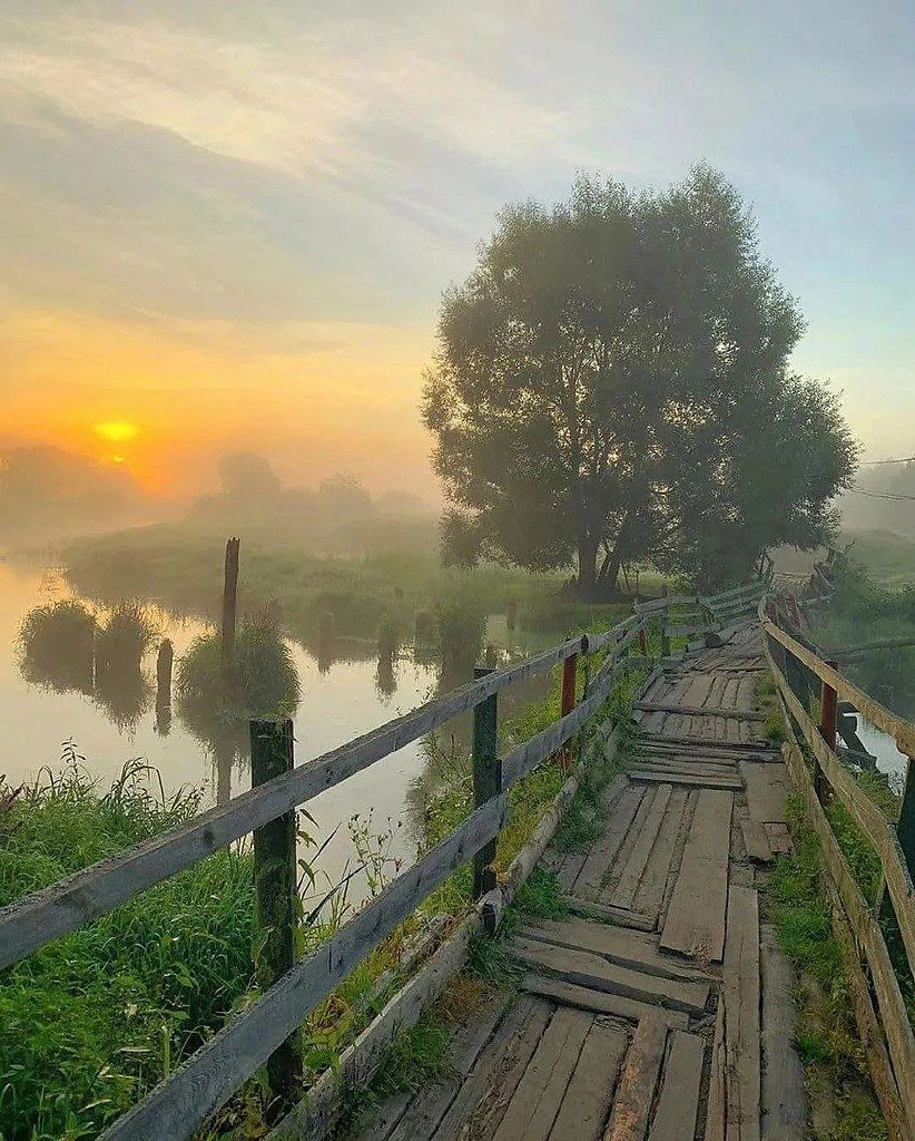 Утро в деревне