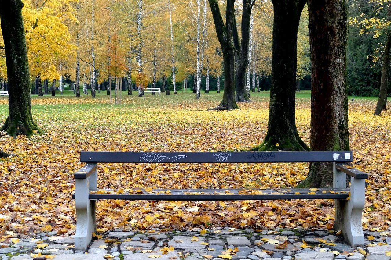 Лавочка в парке. Скамейка в парке. Скамейки в парках. Парк скамейка. Осень скамейка.