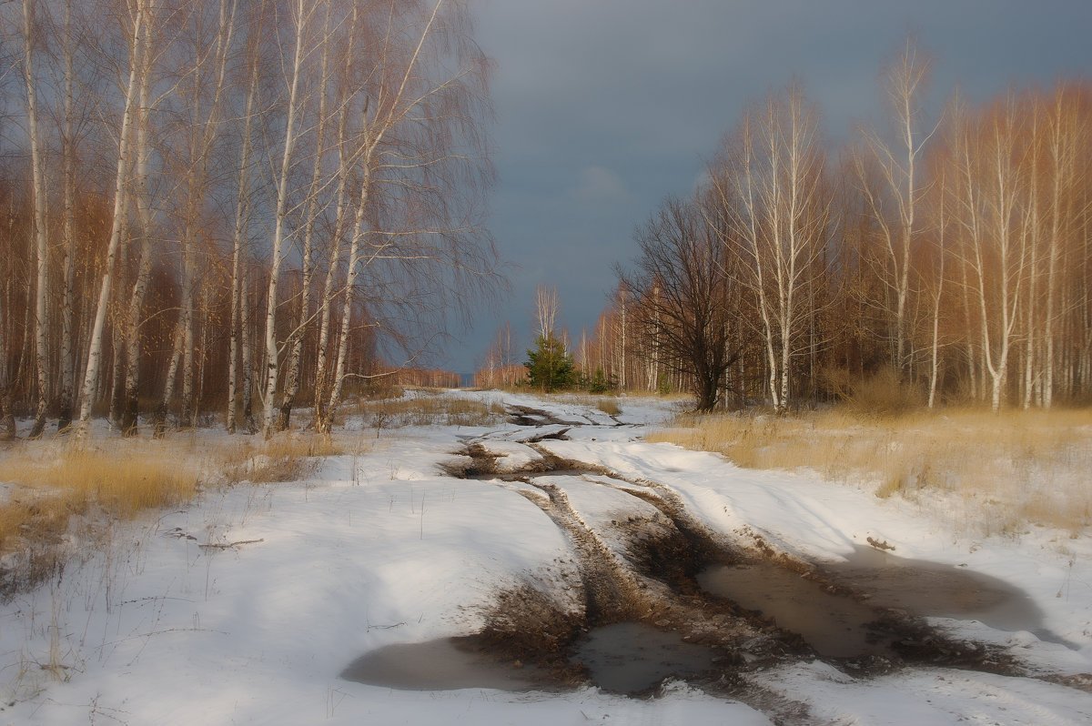 Февраль апрель. Фотопейзажи Владимира Рябкова. Ранняя Весна пейзаж. Мартовский пейзаж. Весна в России.