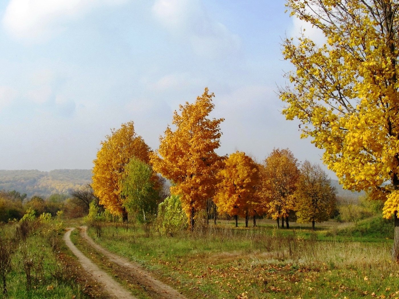 Село октябрь. Осень Золотая Павловка Сергиевский район. Осень в деревне. Ранняя осень в деревне. Осень октябрь.