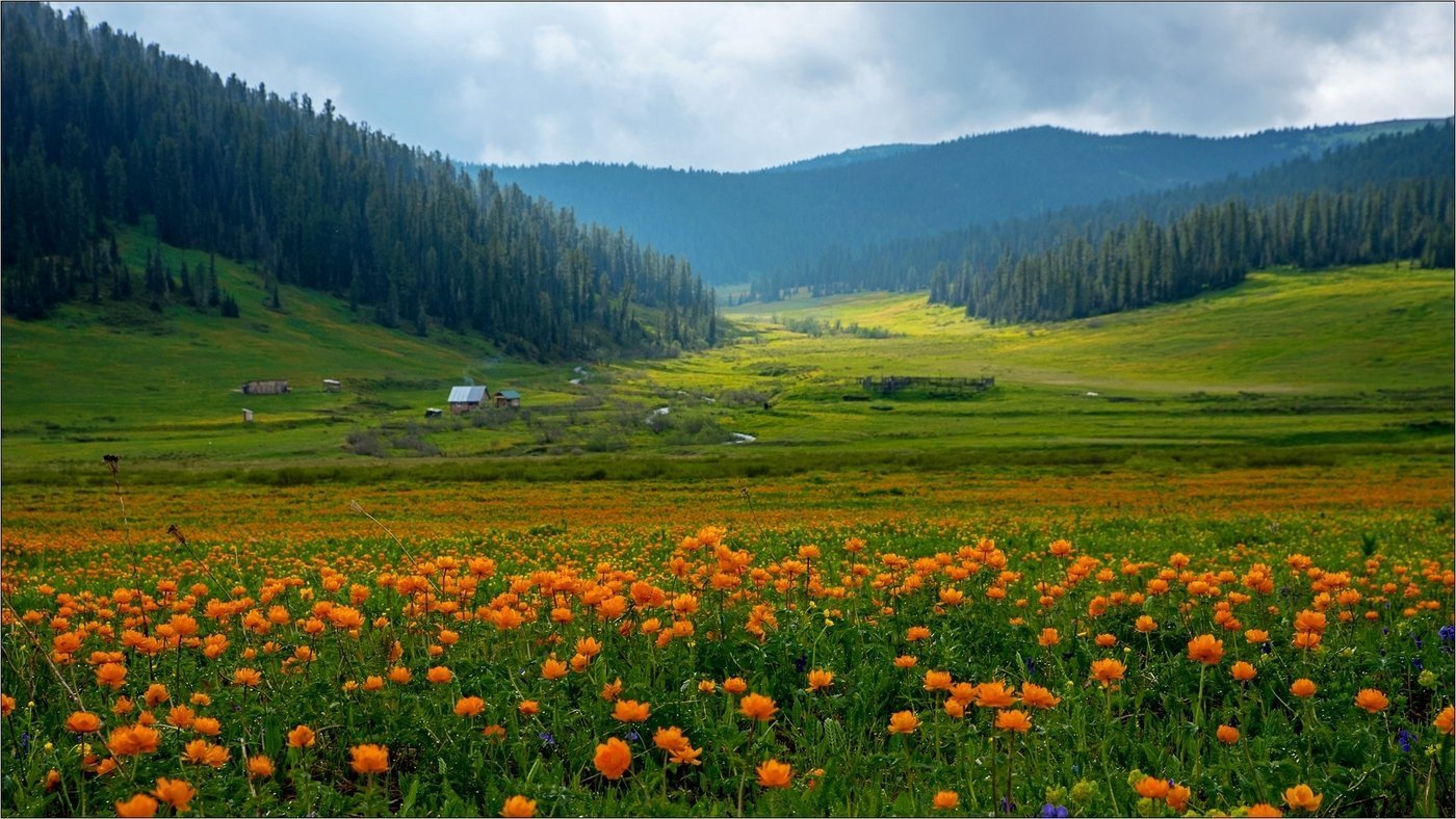 Жарки в Саянах