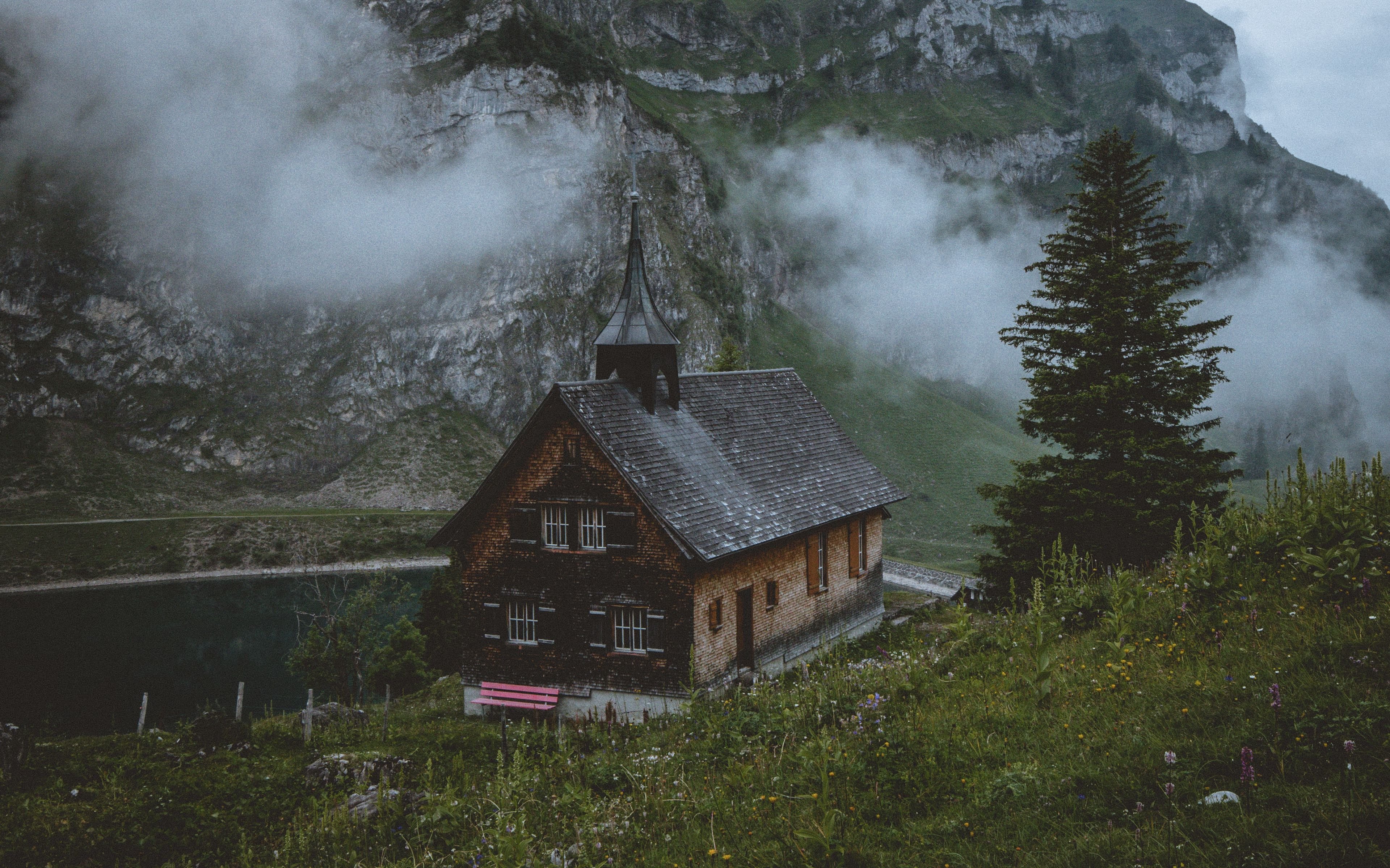 лес туман горы швейцария