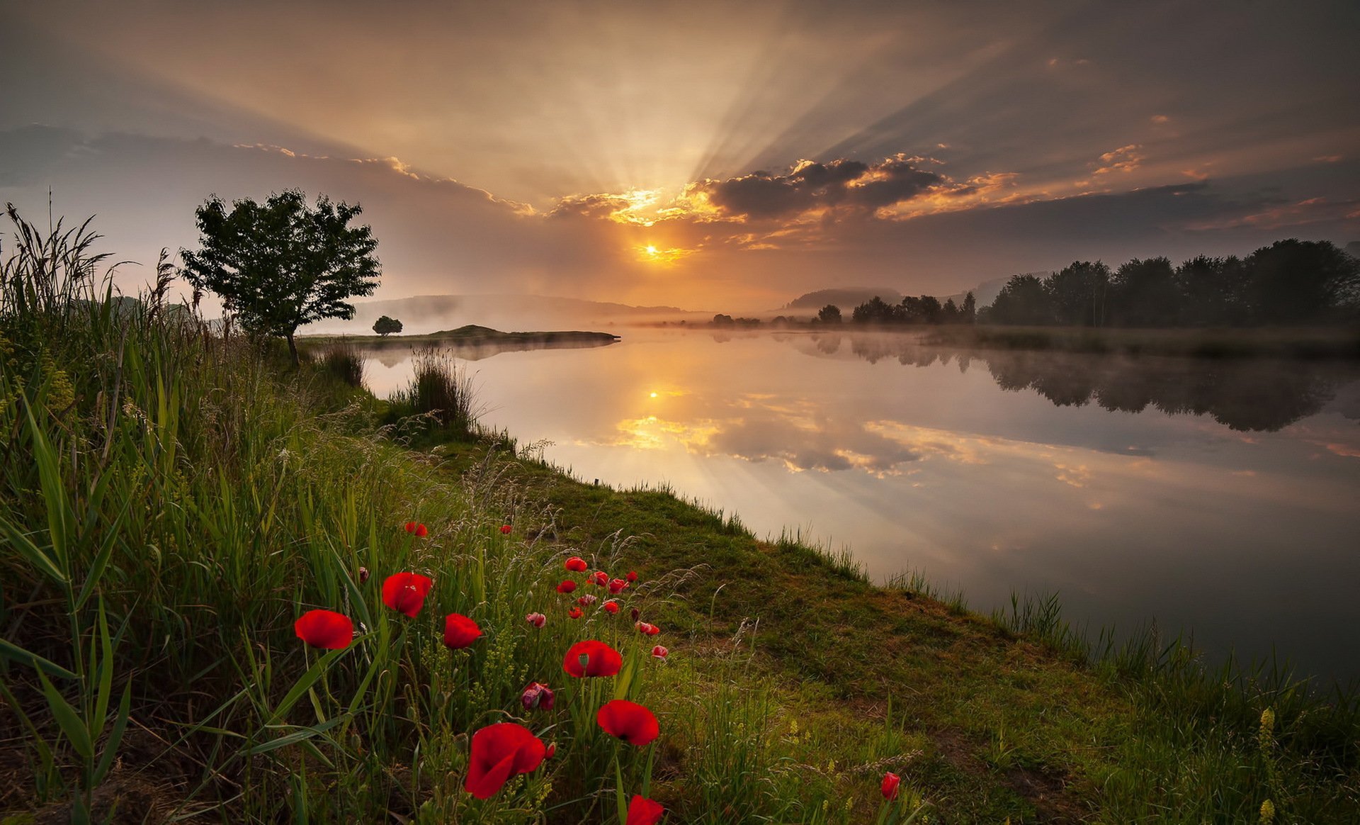 Берегла красоту. Рассвет на реке. Утренний рассвет. Природа летом рассвет. Утро природа.