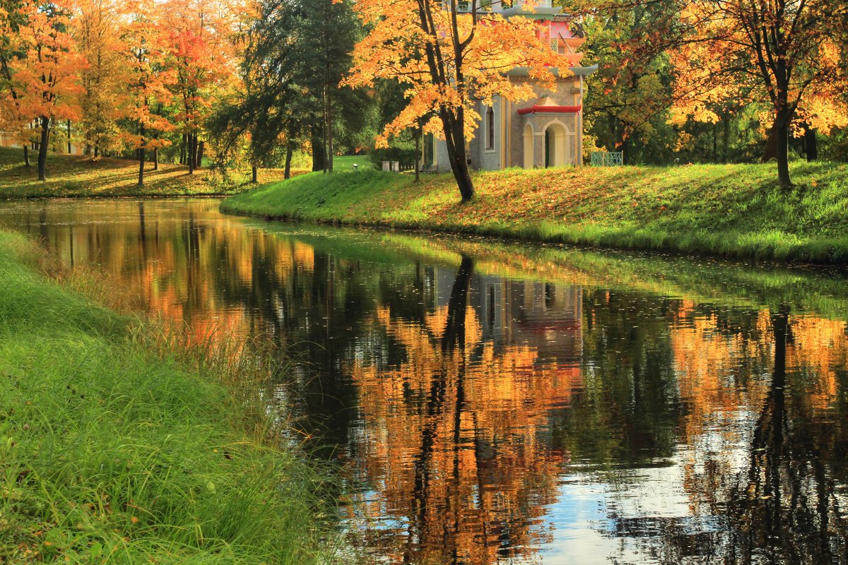 Царское село парк осенью