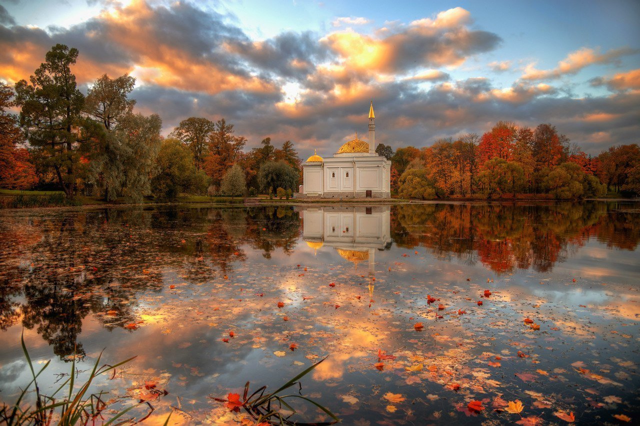 Царское село цветы