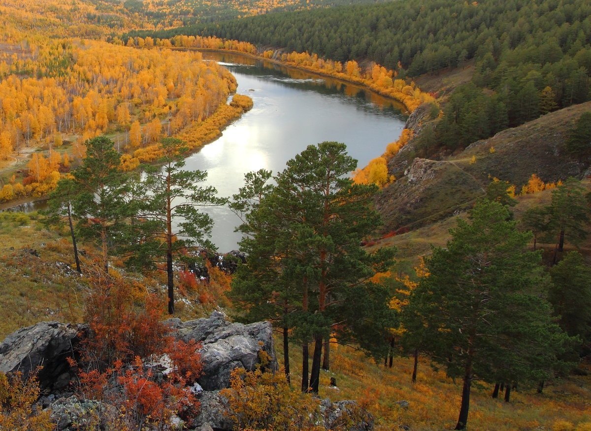 Осенний лес с вертолета