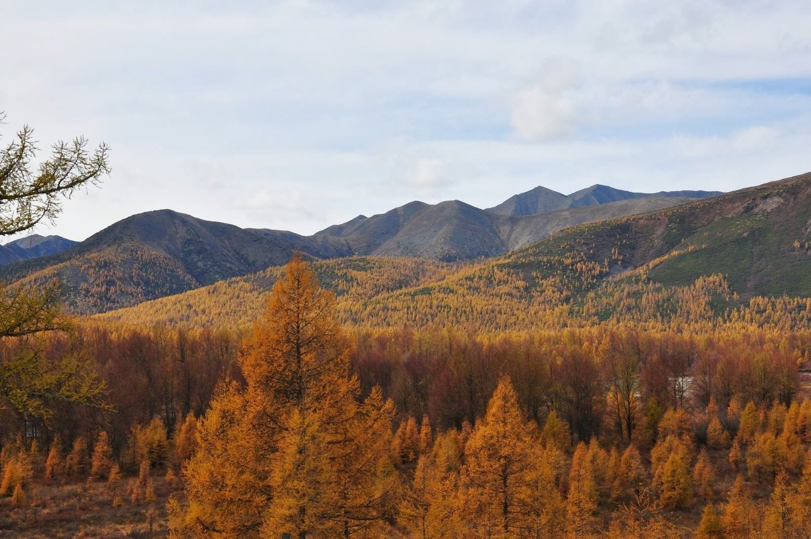 Забайкалье самый