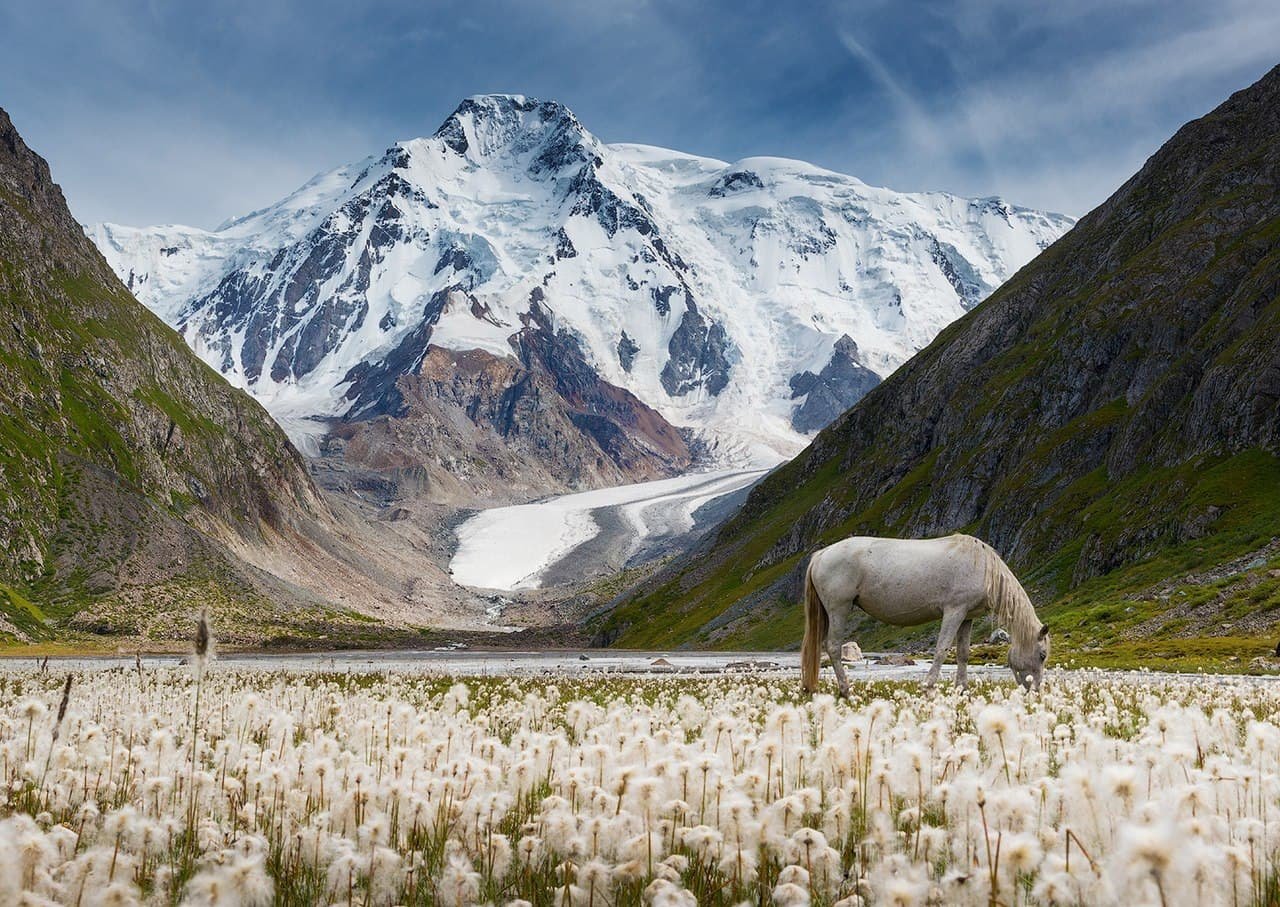 Киргизия Луга горы лошади