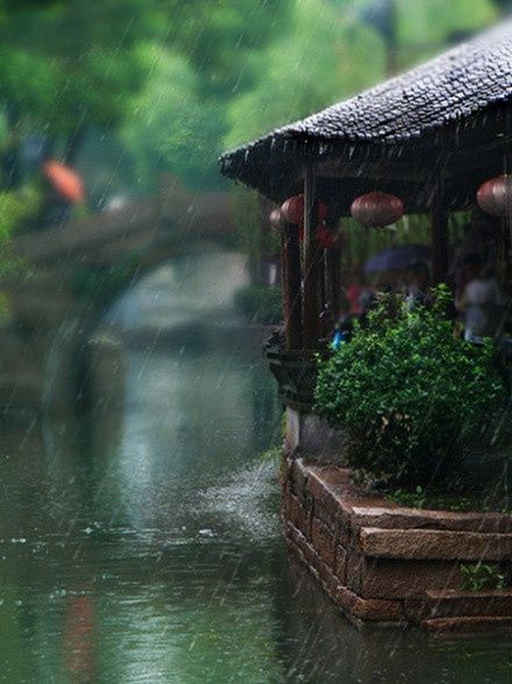 Дождь на китайском