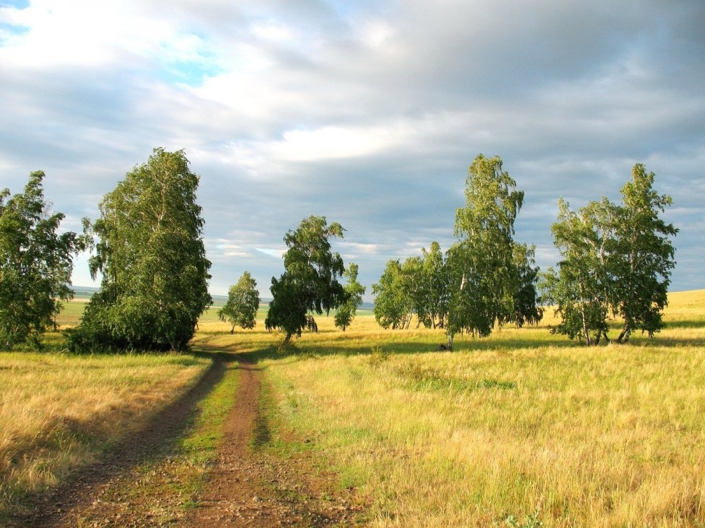 Пейзажи Федора Лашкова