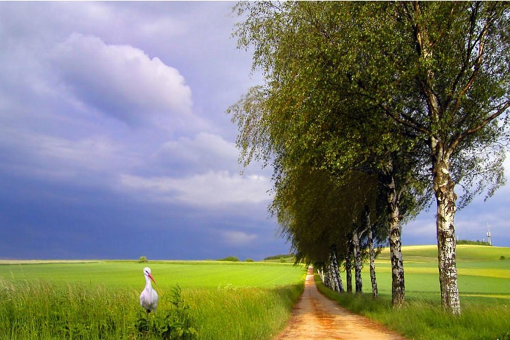 Фото моя родина беларусь