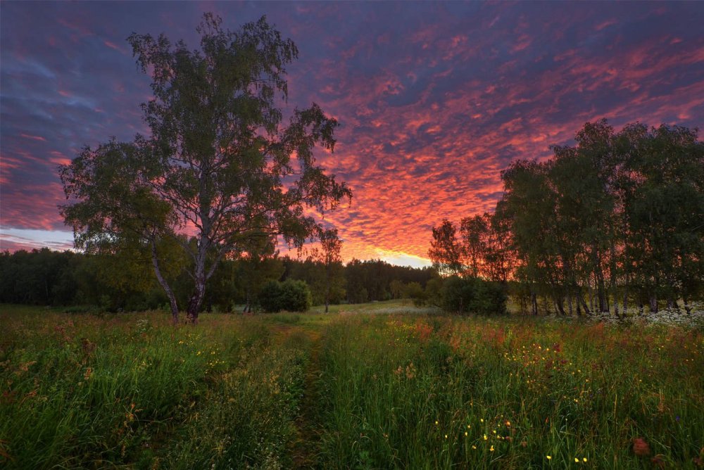 Красивая русская природа