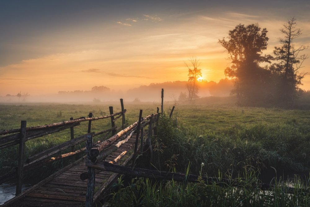 Лето закат