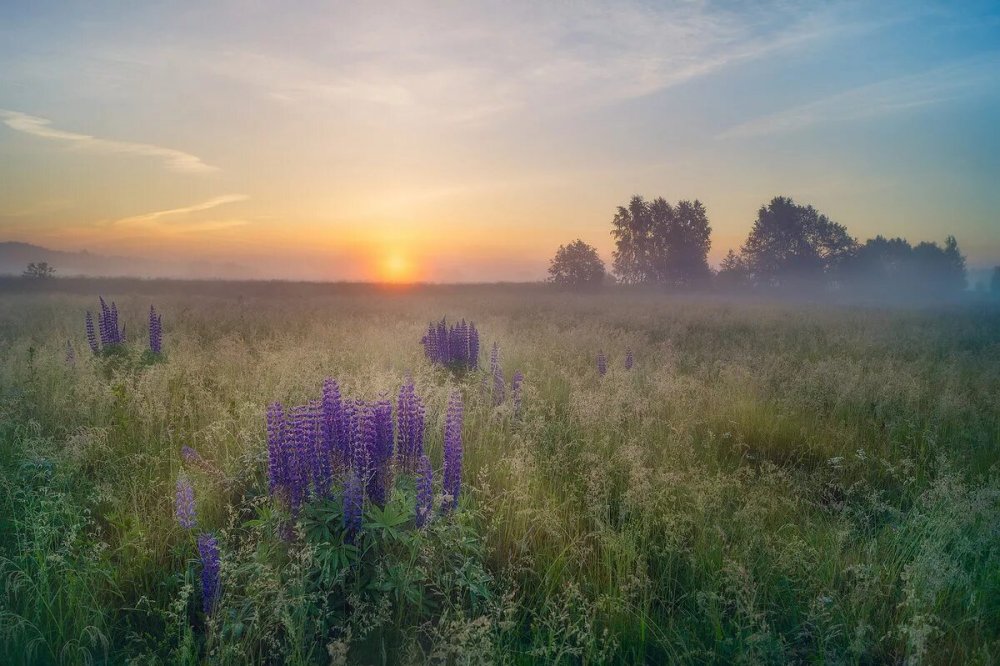 Утренний рассвет