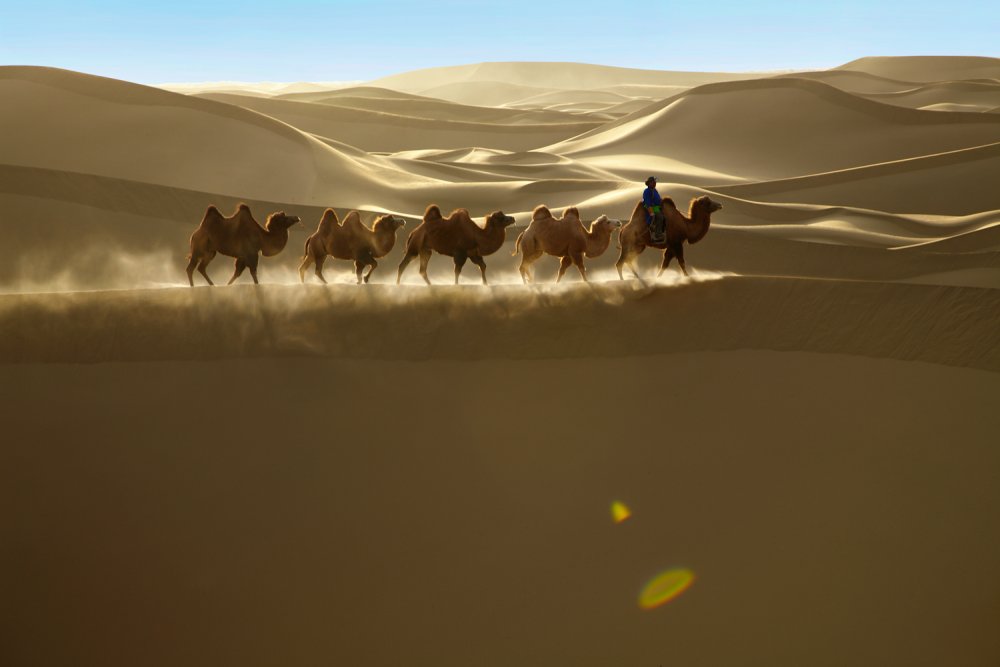 Пейзажи пустыни Гоби Монголии