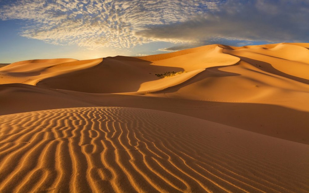 Пустыня кающихся грешников каменная симфония пустыни Гоби