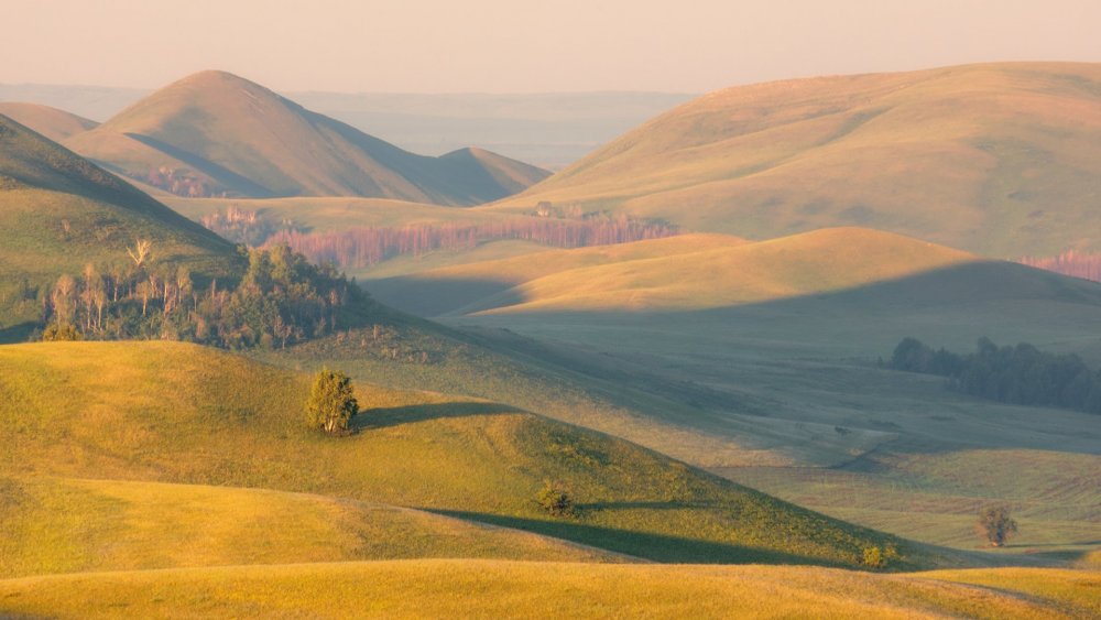 Лесостепи Южного Урала