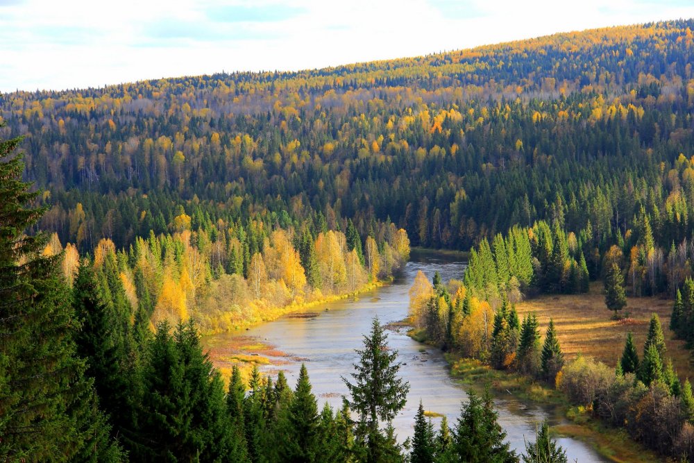 Река Койва Пермский край