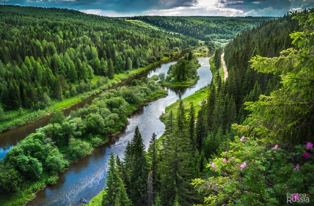 Реки в тайге Пермского края