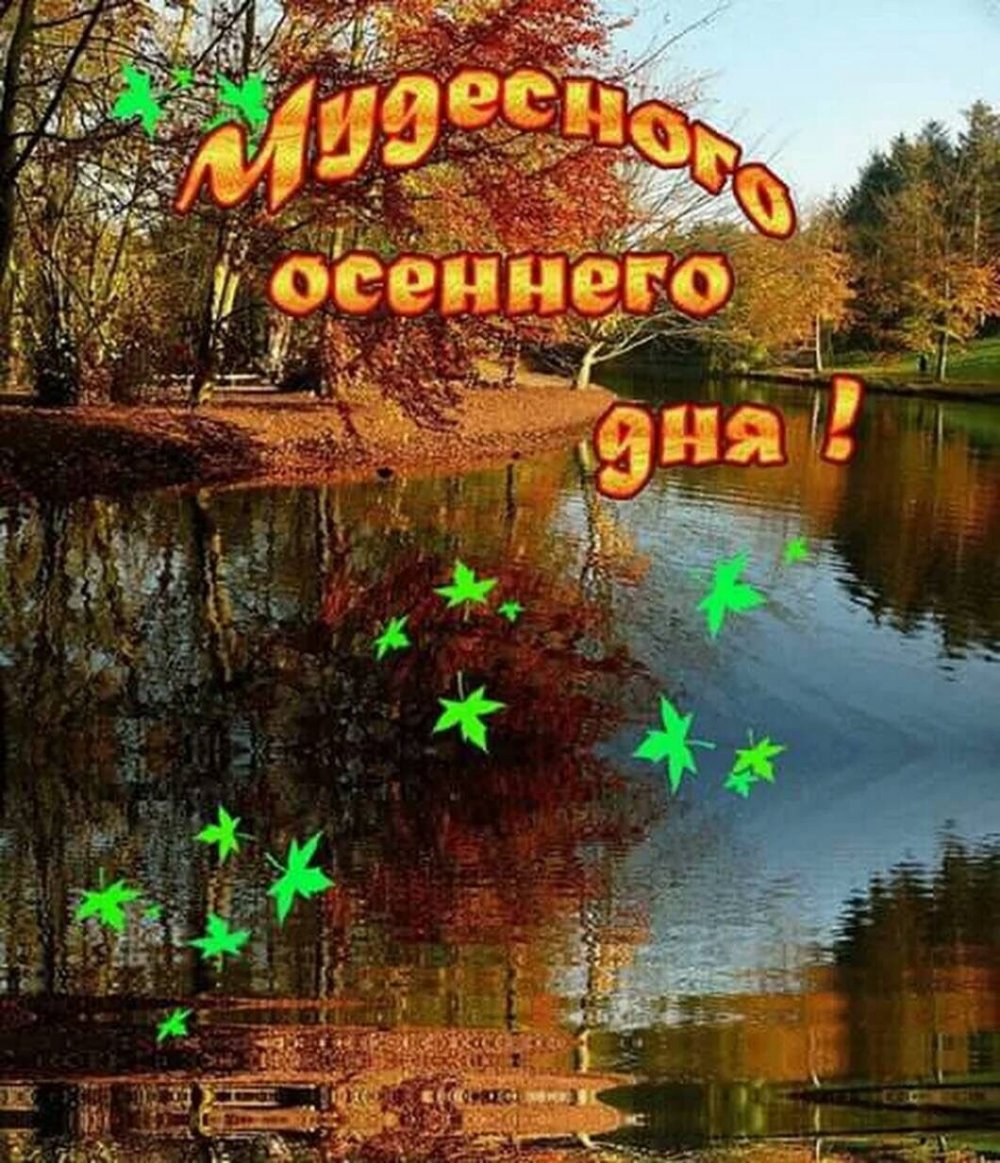 Отличного осеннего дня