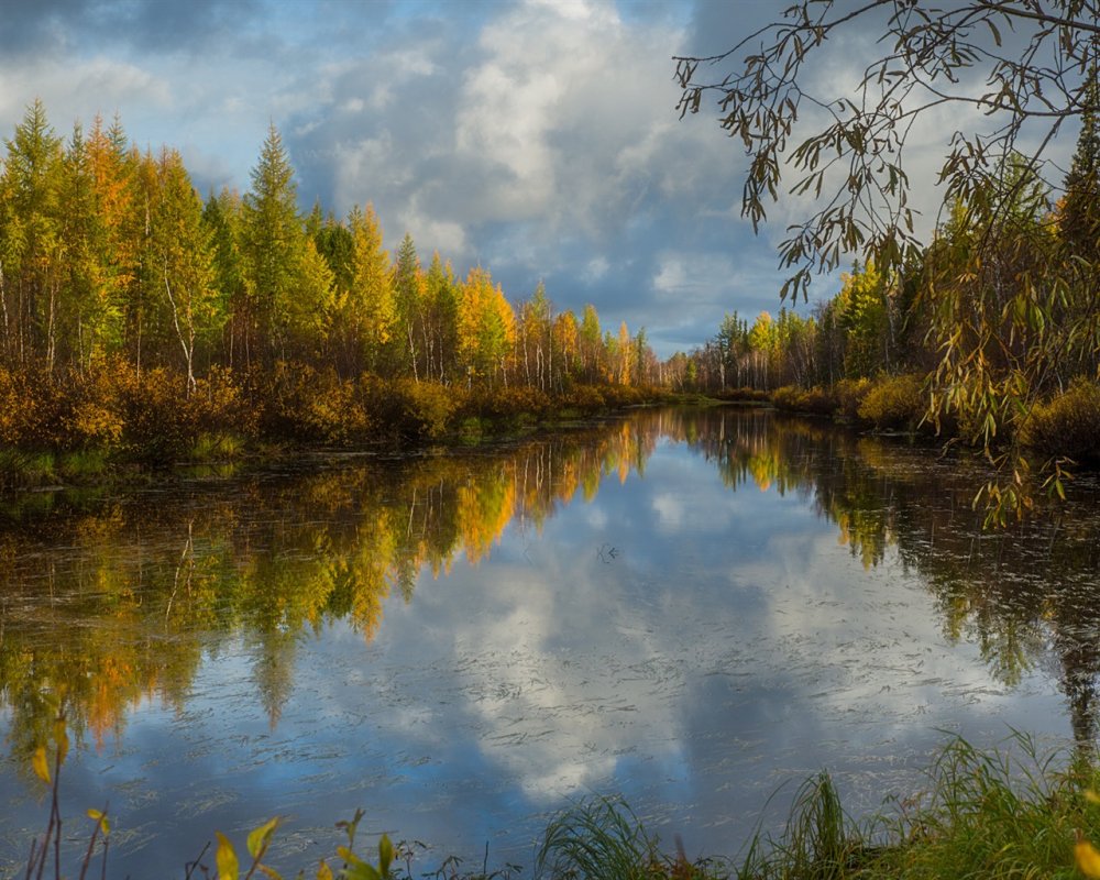 Осень природа река озеро лес