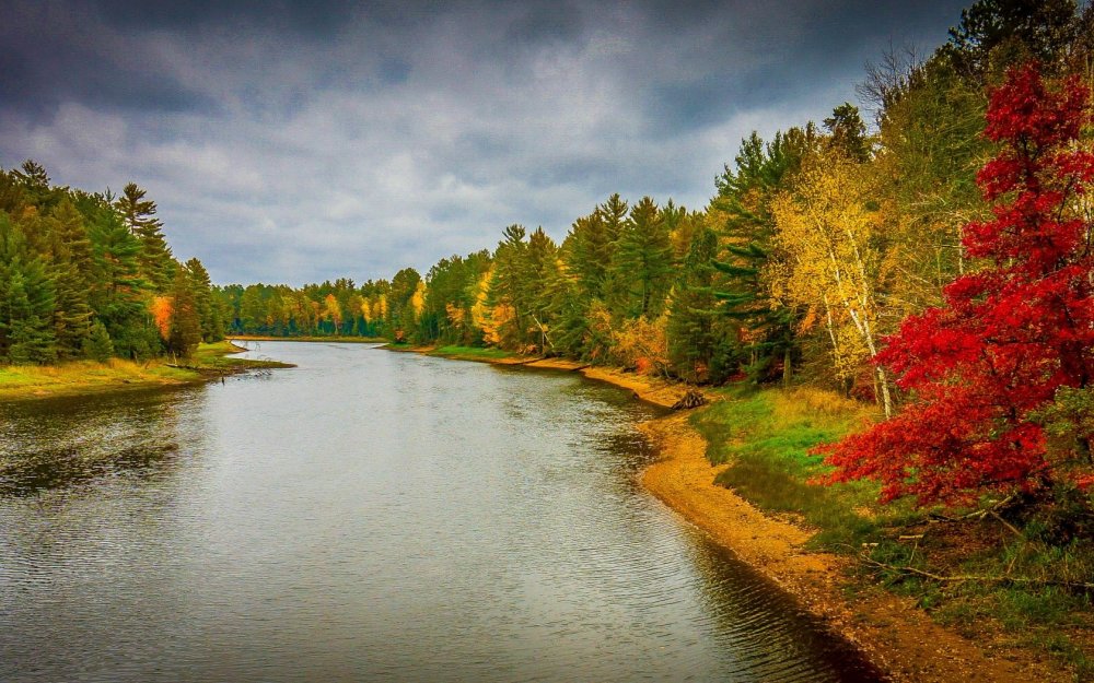 Панорама природа осень