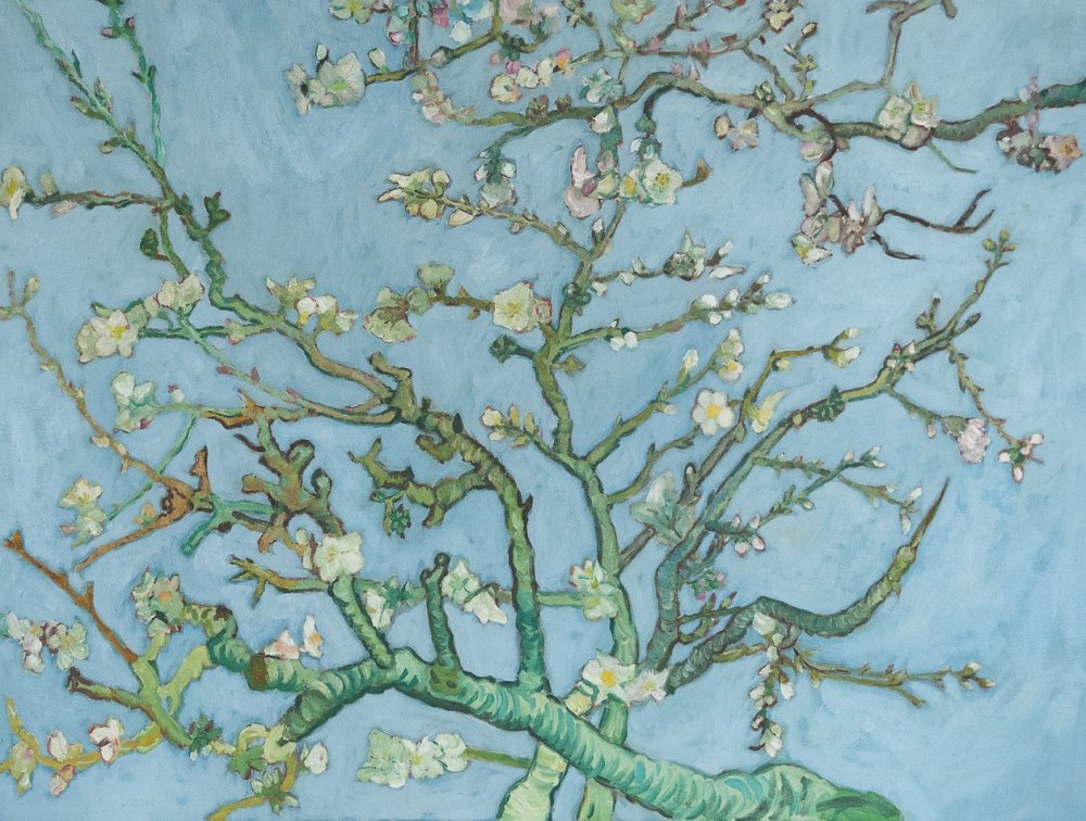 Van Gogh blossoming Almond Tree