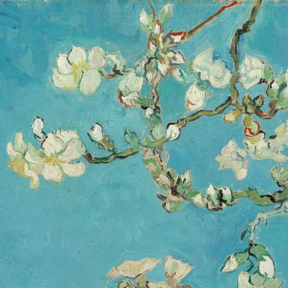 Van Gogh Almond Blossoms