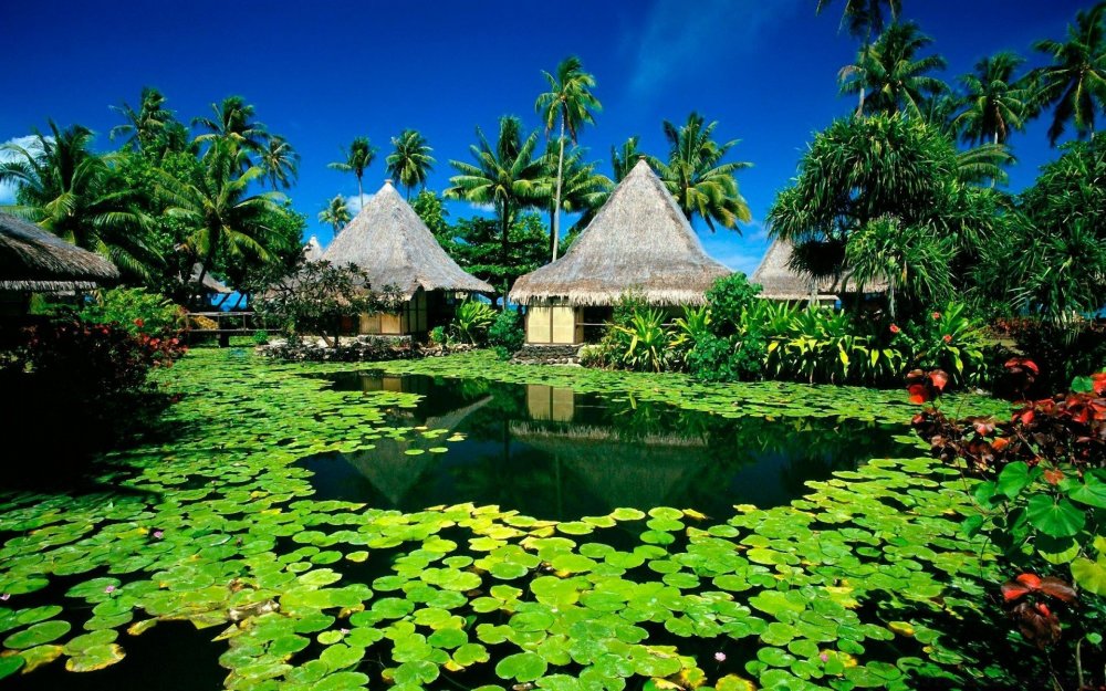 Остров Таити природа