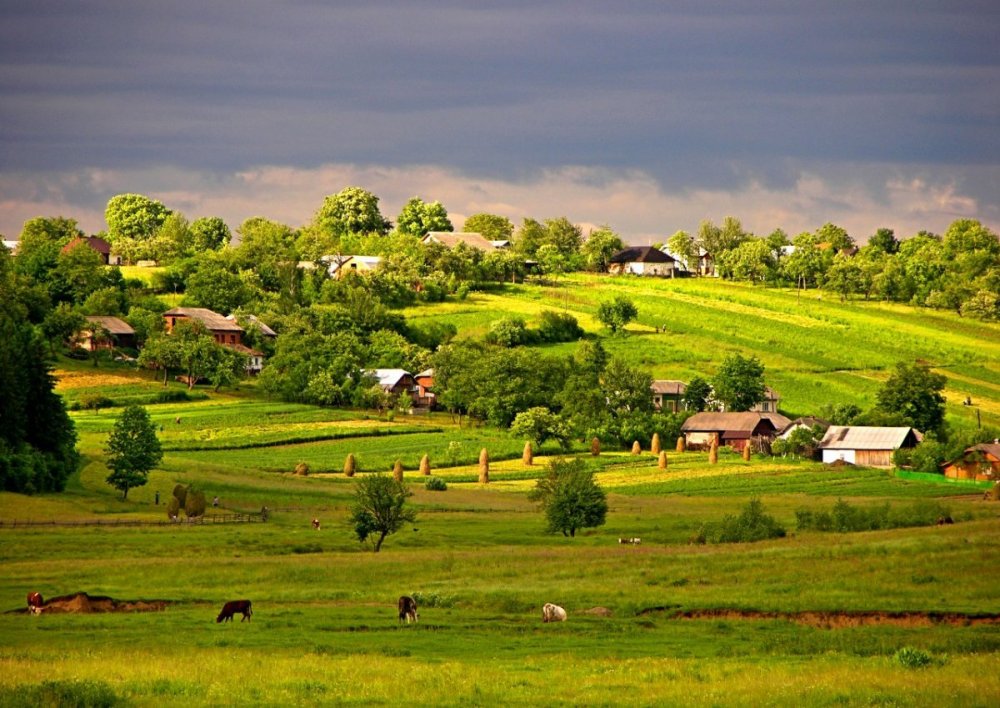 Украинское село