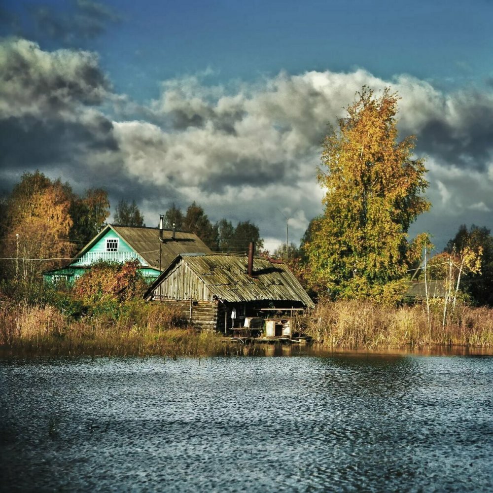 Озеро деревня лес Новосибирск