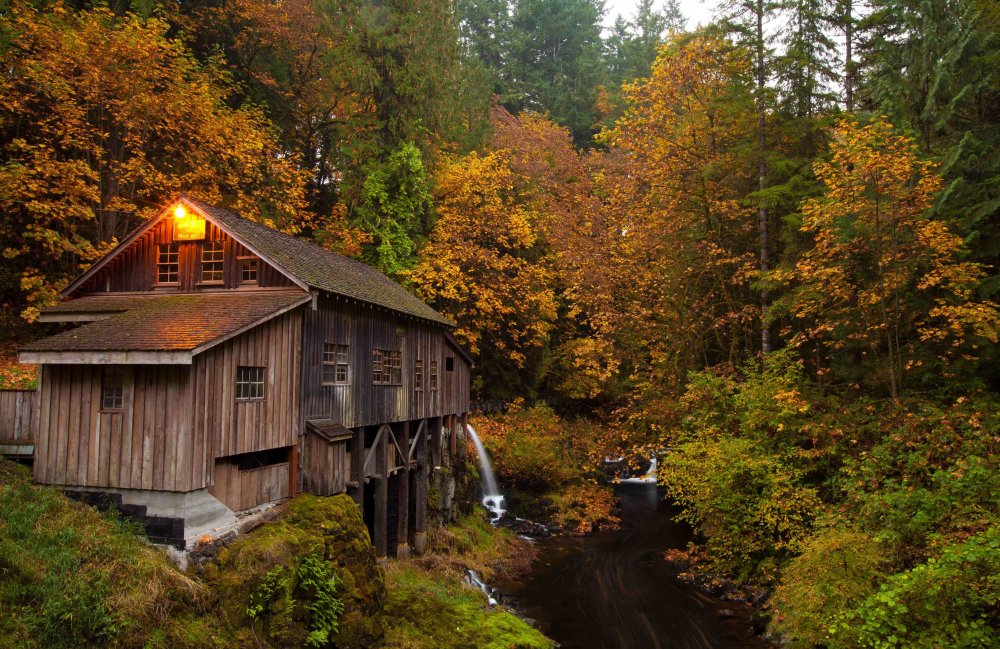 Forest House Хижина в лесу