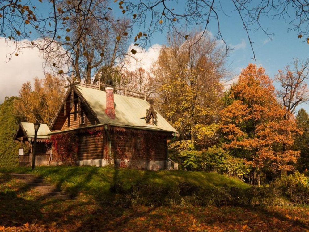 Абрамцево лес