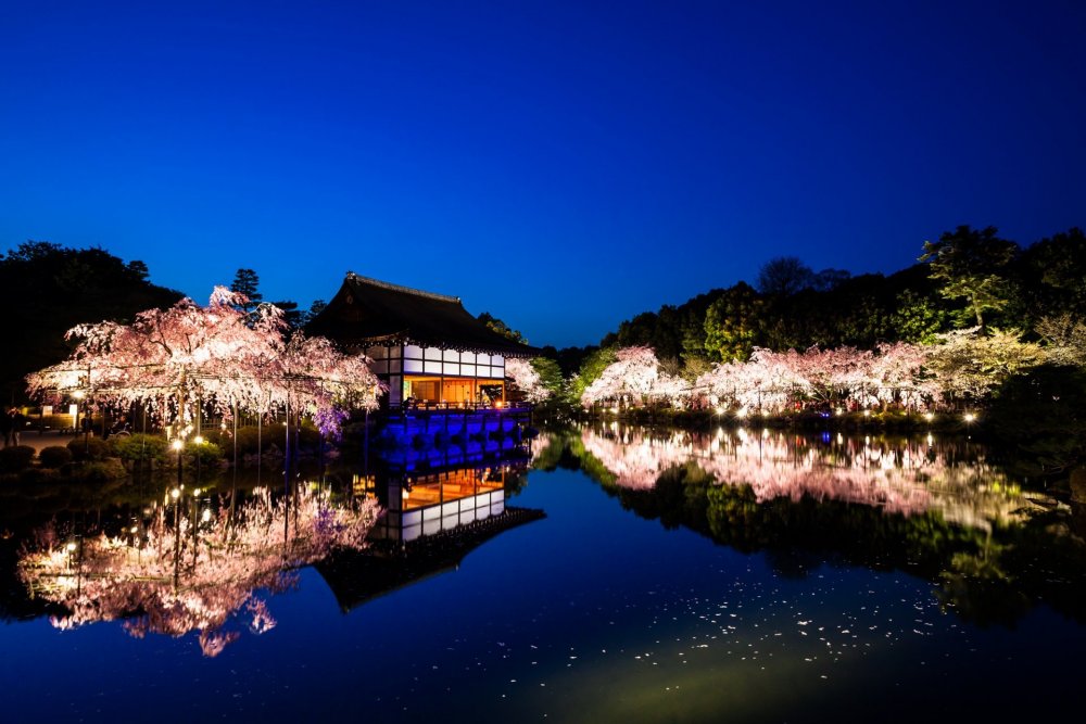 Киото киëмидзо храм ночью
