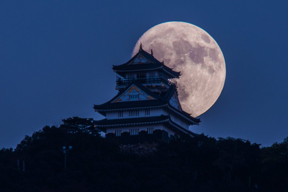 Любование полной луной в Японии