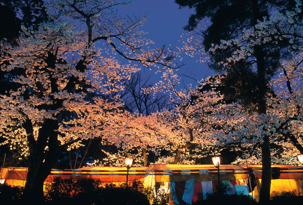 Япония осень вечер