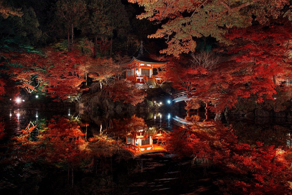 Япония ночью