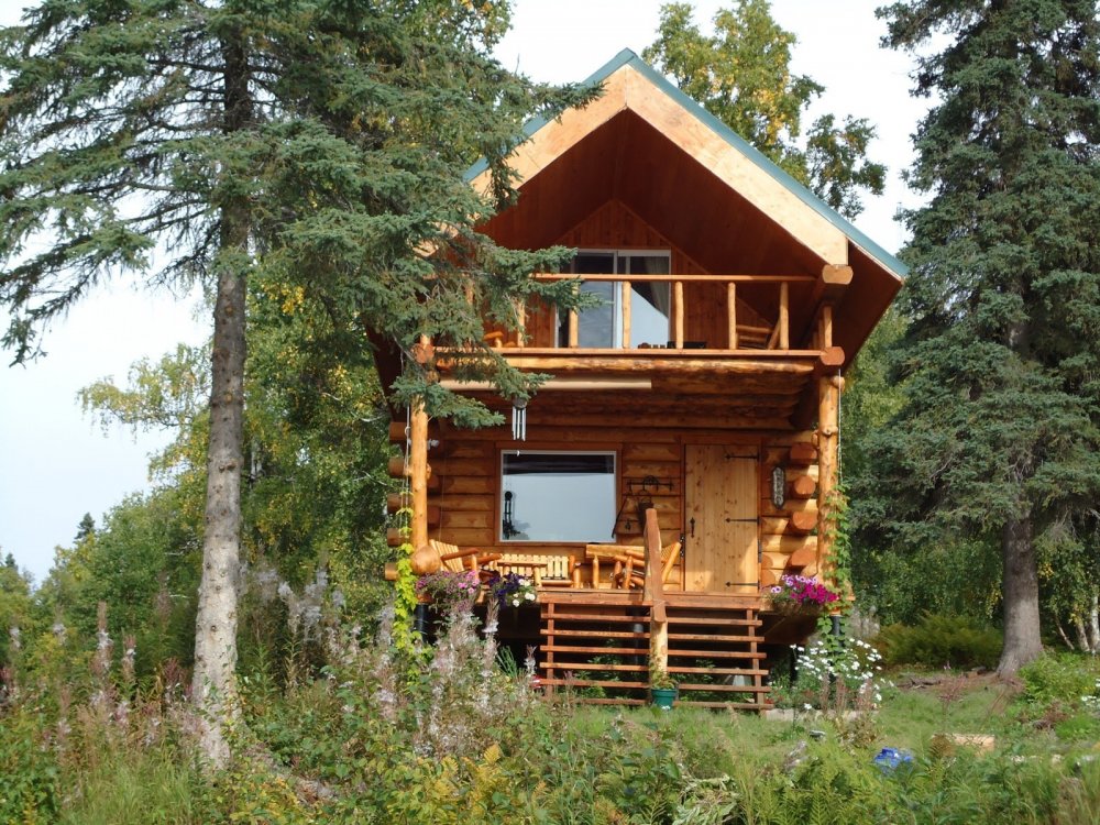 Бревенчатый дом в лесу