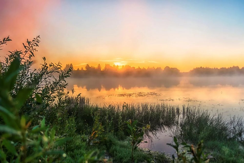 Раннее летнее утро