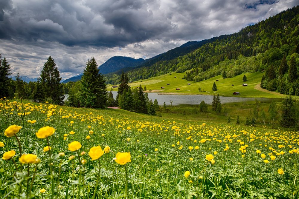 Альпийские Луга Германии