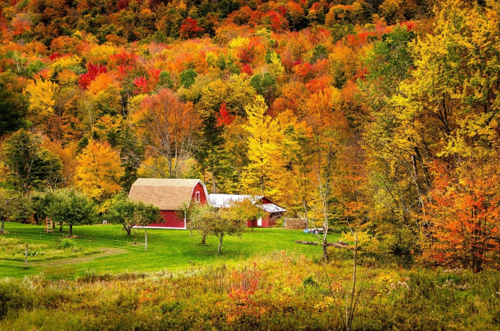 Осень Вермонт обои