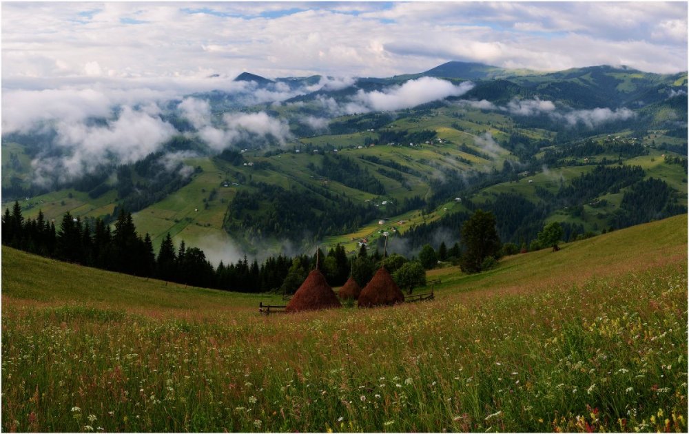 Карпатские горы Закарпатье